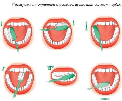 Рекомендации по гигиене полости рта для детей от 6 до 15 лет Рекомендации по гигиене полости рта для детей от 6 до 15 лет