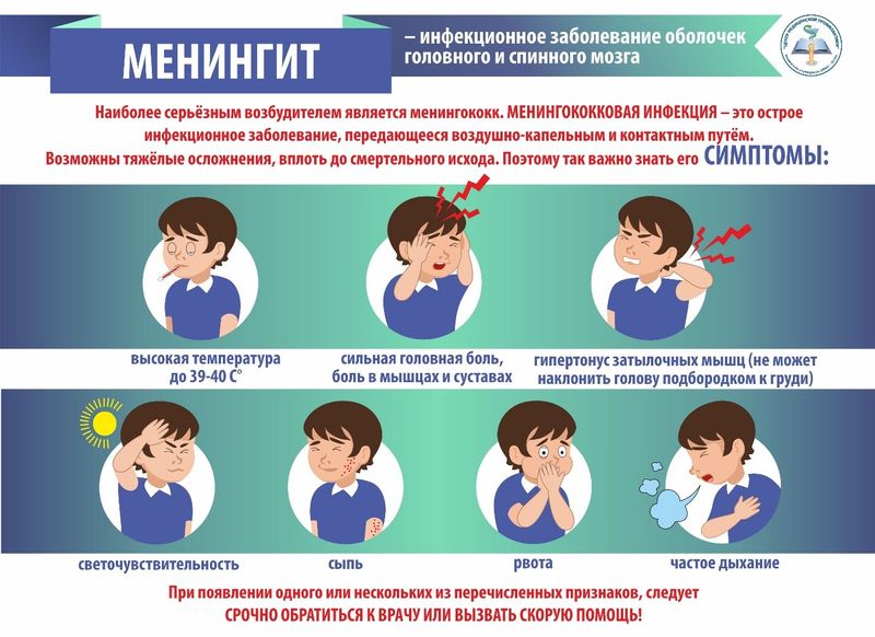 Это нужно знать: Менингококковая инфекция Это нужно знать: Менингококковая инфекция